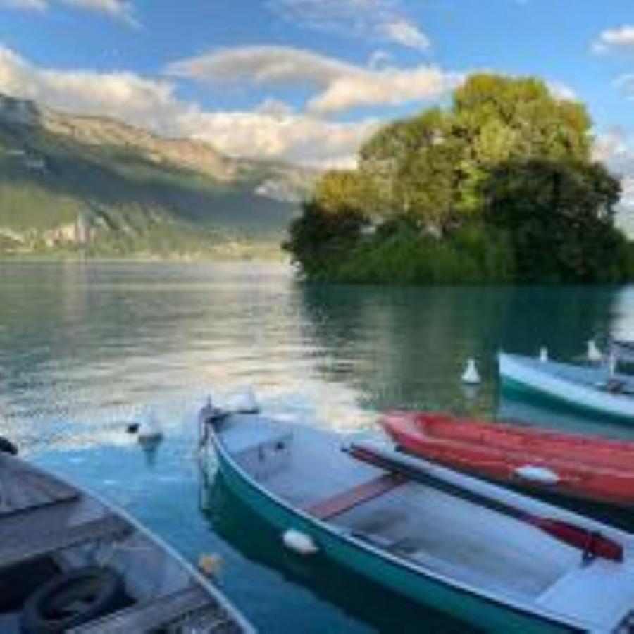"Le Petit Bonlieu" Au Centre Ville Et A 300 M Du Lac アヌシー エクステリア 写真